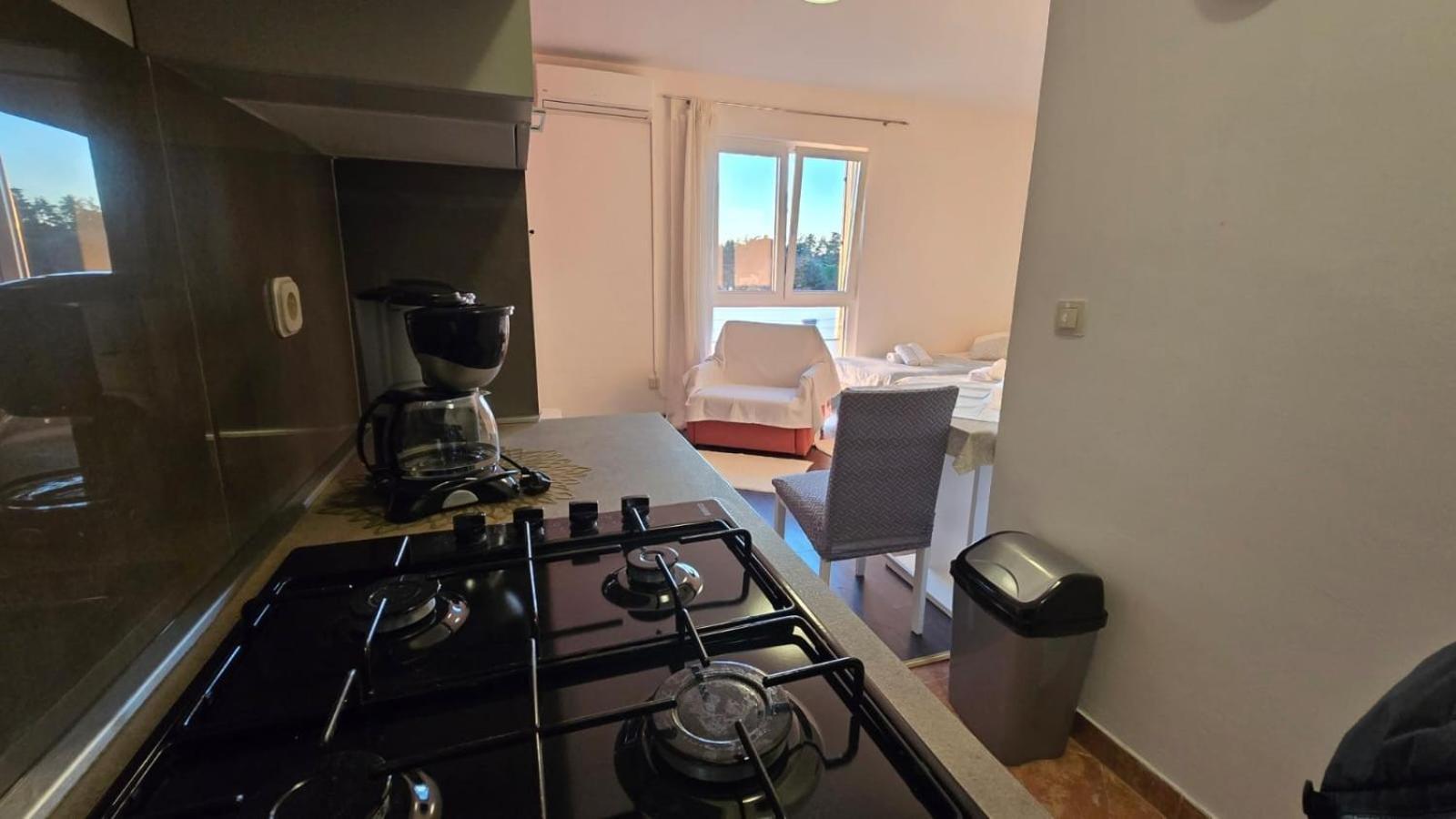 Studio Apartment Ljubica For 2 Persons 150M From The Beach Poreč Exteriér fotografie